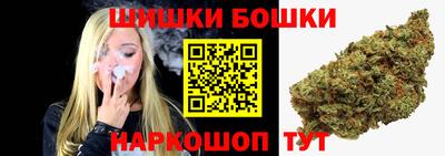 apvp Обь